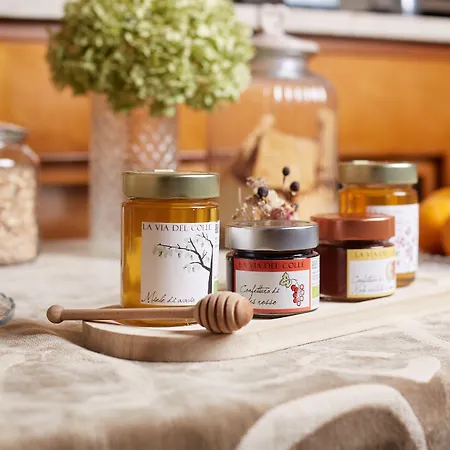 Panorama Szálloda Bertinoro